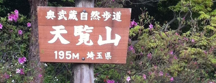 天覧山 is one of 日本の🗻ちゃん(⌒▽⌒).