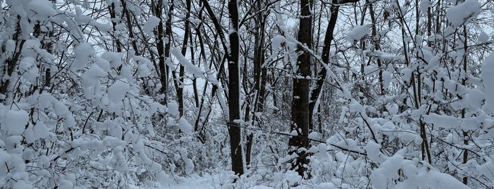 Reeds Lake Trail is one of Grand Rapids.