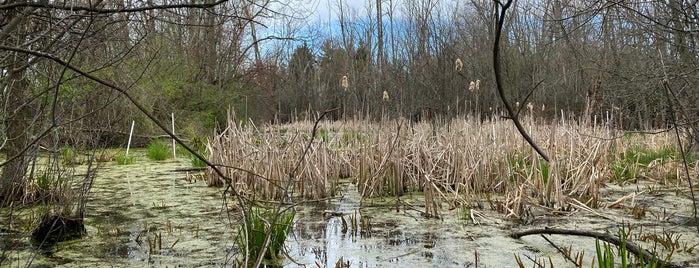 Hodenpyl Woods is one of Out.