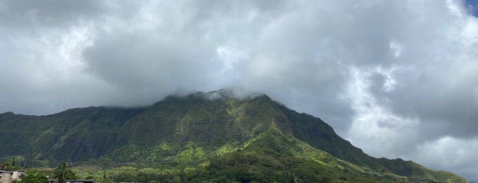 Maunawili Falls Trail is one of Oahu.