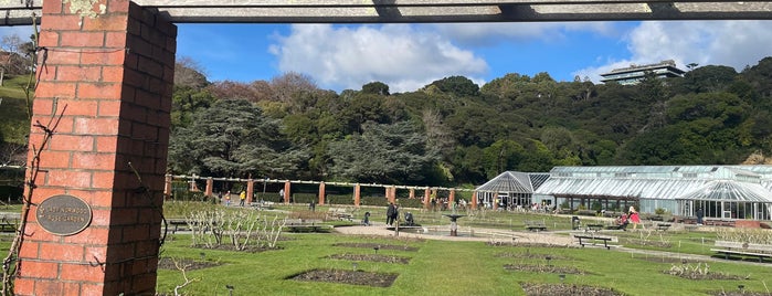 Lady Norwood Rose Garden is one of Wellington Wedding photography locations.