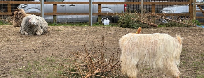 Vauxhall City Farm is one of ooh la la.