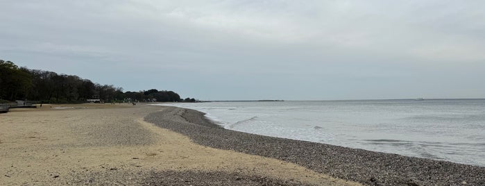 Appley Beach is one of Isle Of Wight.