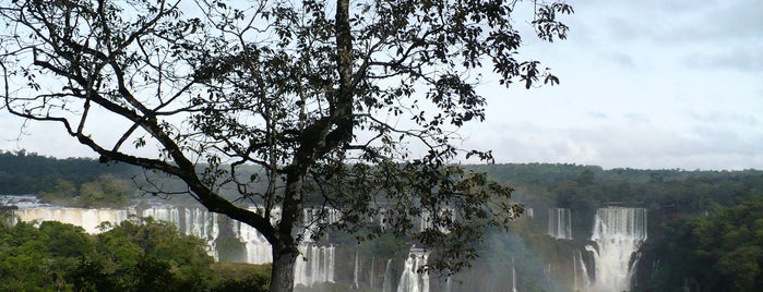 Cataratas del Iguazú is one of WORLD HERITAGE UNESCO.