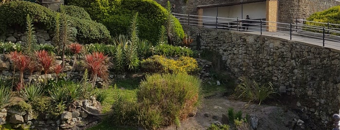 Ventnor Winter Gardens is one of Isle of Wight.