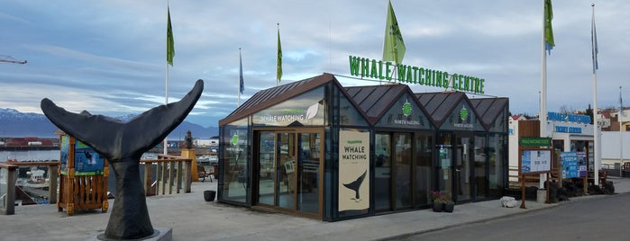 North Sailing Whale Watching is one of Yet To Visit In Iceland.