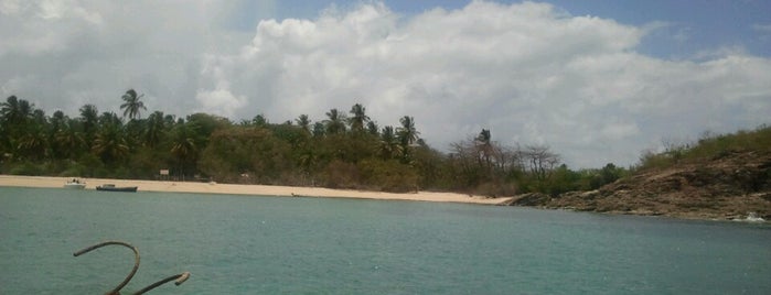 Ilha De Santo Aleixo is one of Lugares favoritos de Luis.
