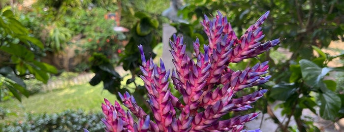 Jardín de las Orquídeas is one of Teneriffa.