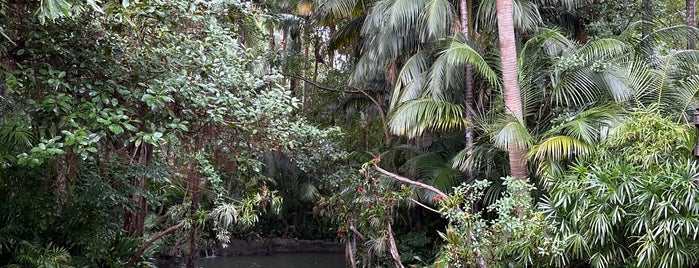 Jungle Cruise is one of Must-visit Theme Parks in Anaheim.