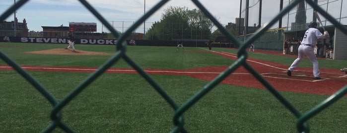 Dobbelaar Baseball Field is one of Triple Play Badge.