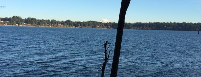 Frye Cove Park is one of Favorite Local Parks in Olympia.