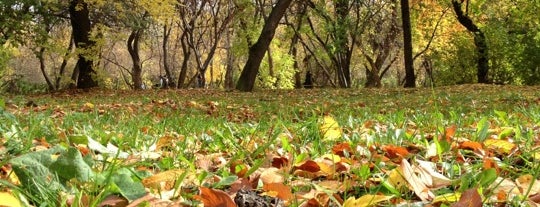 Pavlik Morozov Park is one of Posti che sono piaciuti a Angel.