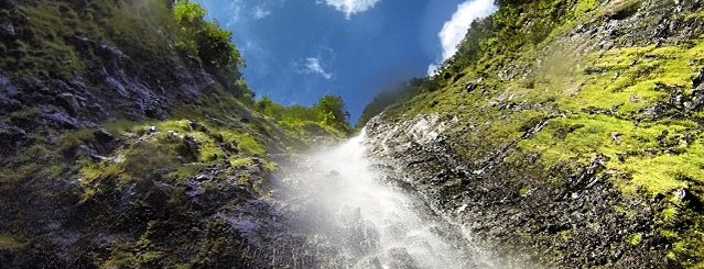 Waimoku Falls is one of Maui.