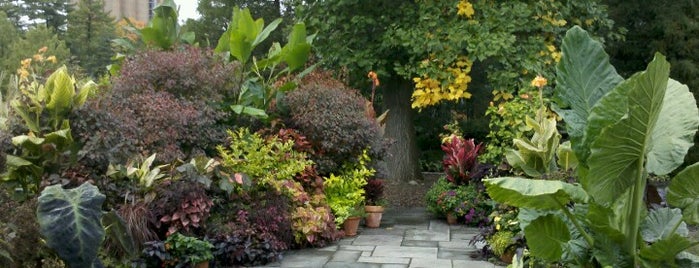 Cornell Botanic Gardens is one of Upstate NY.