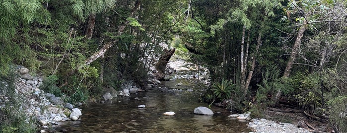 Te Anau Glow Worm Caves is one of Te Anau.