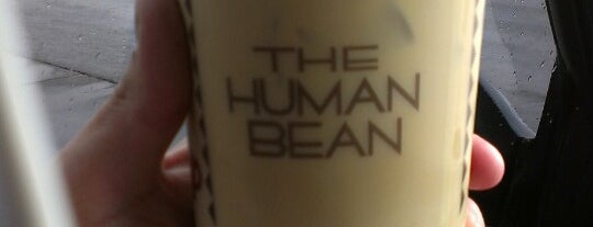 The Human Bean is one of Favorite U.S Coffee Shops.