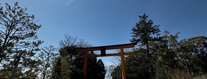 川越氷川神社大鳥居 is one of 埼玉県_川越市.