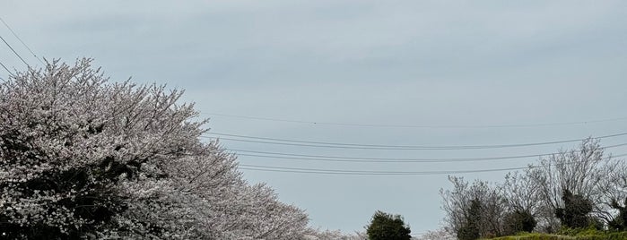 川越運動公園 is one of 公園_埼玉県.