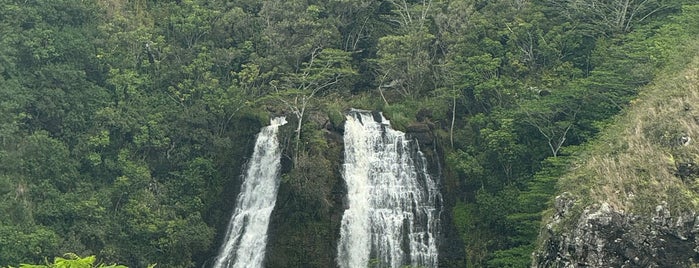 Opaekaa Falls is one of places.