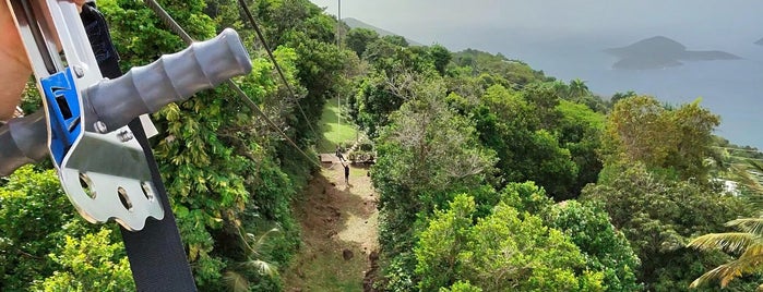 Tree Limin' Extreme Zipline Tour is one of BEST OF: St. Thomas.