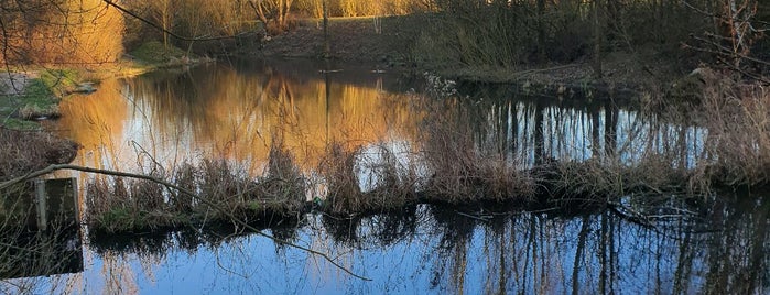 Naturschutzgebiet Höltigbaum is one of Ausflugsziele in und um Hamburg.