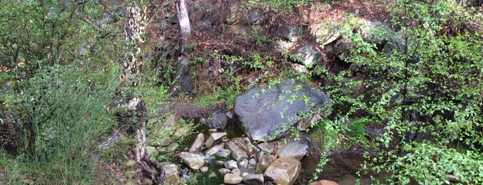 Wheeler Gorge Campground is one of LA Bucket List.