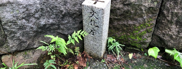 Tameike Tower Base Remains is one of 江戸城.