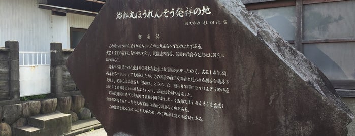 治郎丸ほうれんそう発祥の地 is one of 発祥・生誕・終焉の地(愛知).