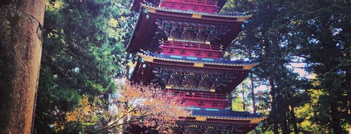 Five-Storied Pagoda is one of 日本の五重塔（国宝と重文）.
