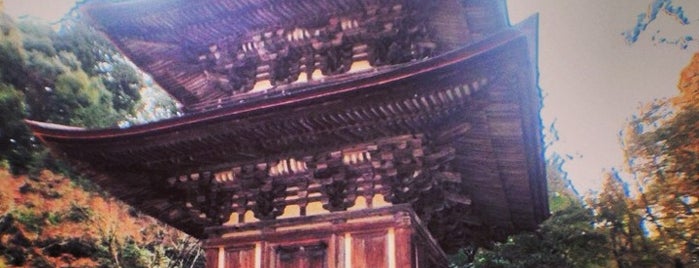 西明寺 三重塔 is one of 三重塔 / Three-storied Pagoda in Japan.