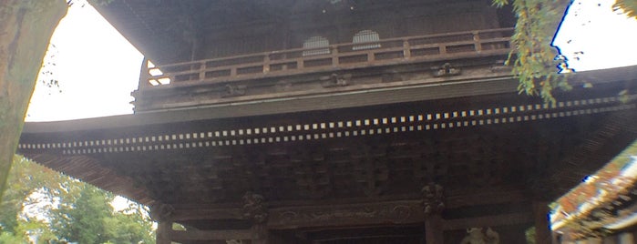 高安寺山門 is one of 東京都選定歴史的建造物.