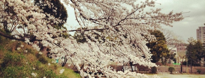 本丸東堀跡 is one of 小田原城.