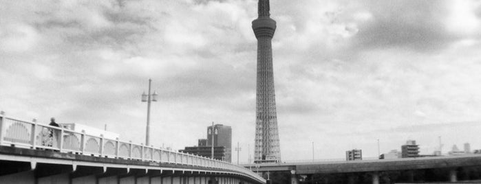 Kototoi Bridge is one of 東京都選定歴史的建造物.