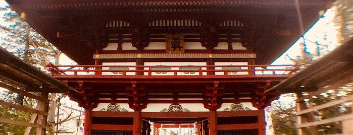 飯野八幡宮 楼門 is one of 神社・寺4.