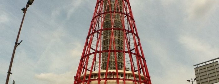 Kobe Port Tower is one of タワーコレクション.