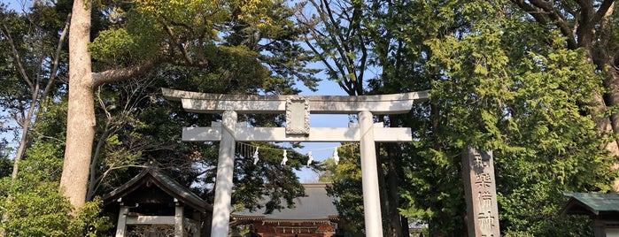Warabi-Jinja Shrine is one of 神社_埼玉.