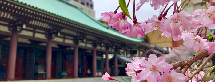 Tocho-ji Temple is one of Japan Nippon.