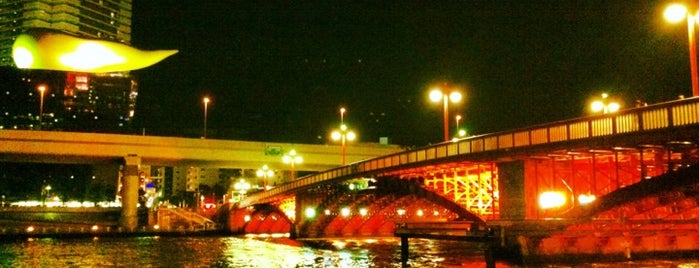 吾妻橋 is one of 東京都選定歴史的建造物.