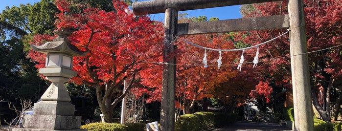 縣居神社 is one of Hamamatsu to Shizuoka.