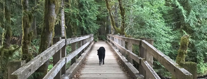 Lake Crescent Lodge is one of Seattle with JetSetCD.