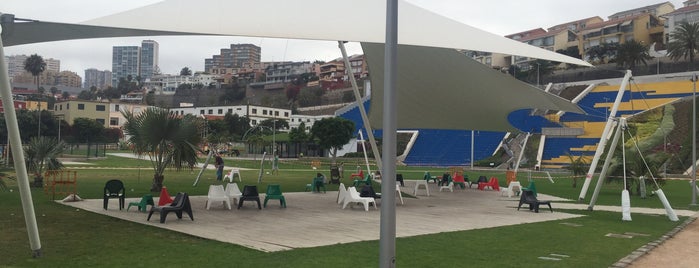 Parque Del Estadio Insular is one of สถานที่ที่ Tomáš ถูกใจ.