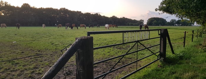 Stichting de Paardenkamp is one of To do with kids.
