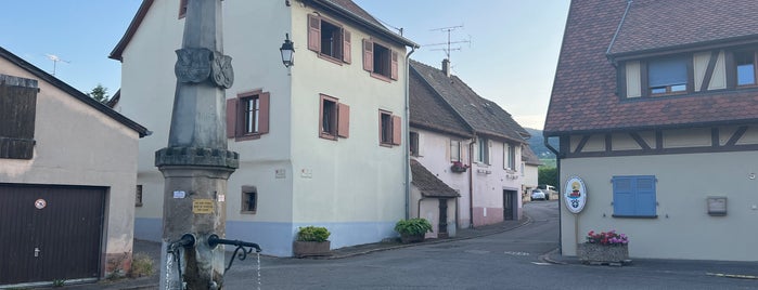 Le Pavillon Gourmand is one of Alsace Michelin.