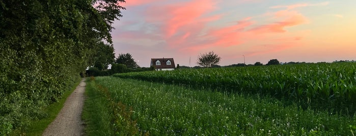 Molen De Windhond is one of I love Windmills.