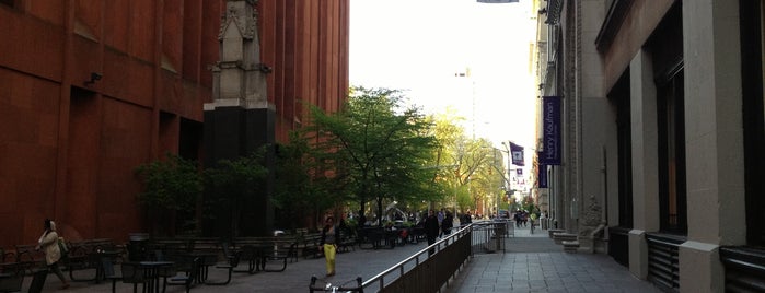 NYU Schwartz Plaza is one of Grad Alley - May 21st, 2013.