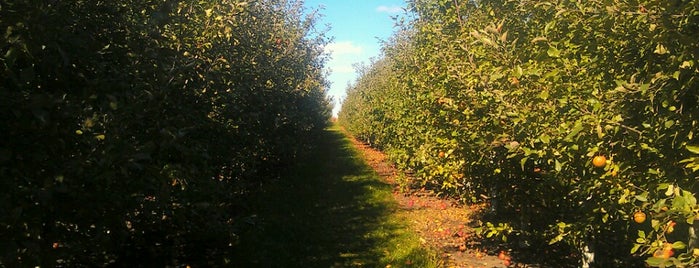 Applewood Orchard is one of Glenn’s Liked Places.