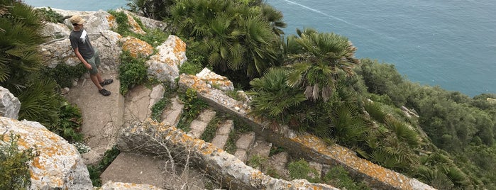 Mediterranean Steps is one of Tempat yang Disukai Carl.