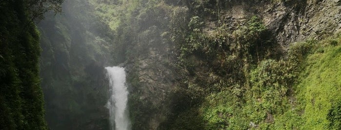 Tappiya Falls is one of Orte, die Kat gefallen.