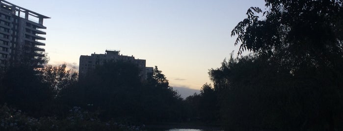 Laguna Parque de Los Reyes is one of Lugares para relajarse.