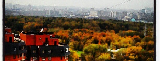 Район «Орехово-Борисово Северное» is one of Москва.